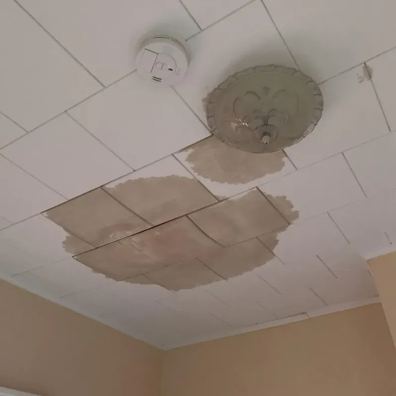 Ceiling Water Damage Repair in Horse Shoe, NC