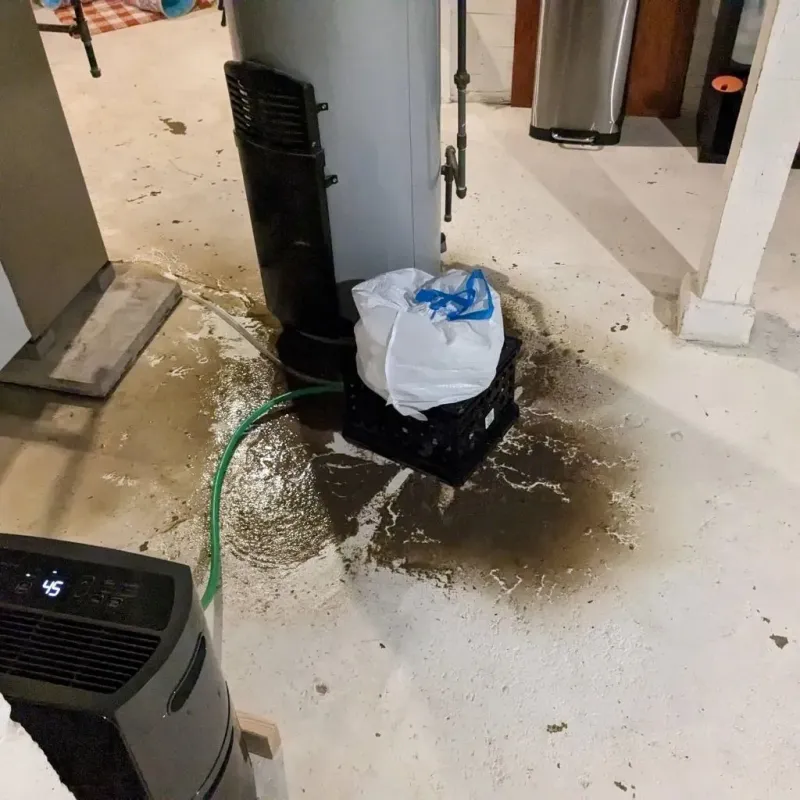 Sewage Backup Cleanup Service in Horse Shoe, NC